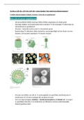 samenvatting biologie alles over virussen, protisten en schimmels