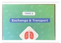 Topic 2 - Exchange and Transport Revision Cards