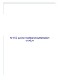 Nr 509 gastrointestinal documentation shadow