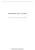 Cardiovascular System (The Heart)