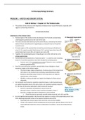 3.6C Neuropsychology Summary & Lecture Notes