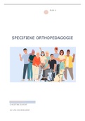 Samenvatting Sterk met een vitaal netwerk, ISBN: 9789046906804  Specifieke Orthopedagogie