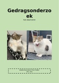 Verslag gedragsonderzoek (van een kat)