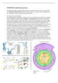 Samenvatting Biologie hoofdstuk 8 Moleculaire genetica van 10VoorBiologie