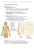 Samenvatting Biologie hoofdstuk 18 Zenuwstelsel en beweging van 10VoorBiologie