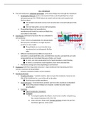 Cell Membrane Notes