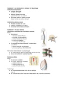 Uitgewerkte itemlijst Humane Anatomie en fysiologie