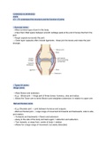 Synovial Joints (Hinge, Ball & Socket Joints) & Joint Movement