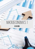 Macroeconomics 1st year [University] Notes [ECO10B]