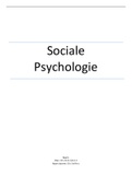 C45 -  Sociale Psychologie 