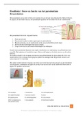 Parodontologie H1 Bouw en functie van het parodontium