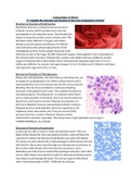BTEC Applied Science Unit 20 Assignment 1 Haematology