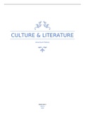Culture & Literature 3.1 (American history)