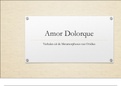 Samenvatting Amor Dolorque, ISBN: 9789463640596, H1 tm H14