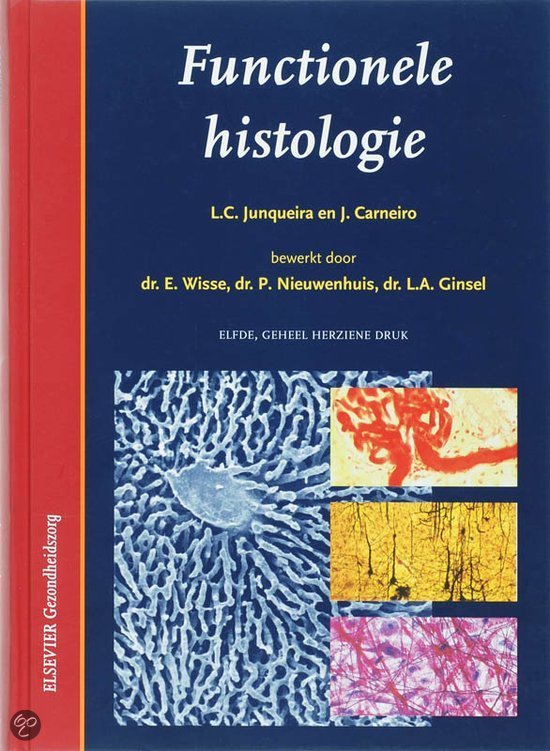 Uitgebreide Samenvatting Histologie Circulatie Long Nier (1053FBDBMW)