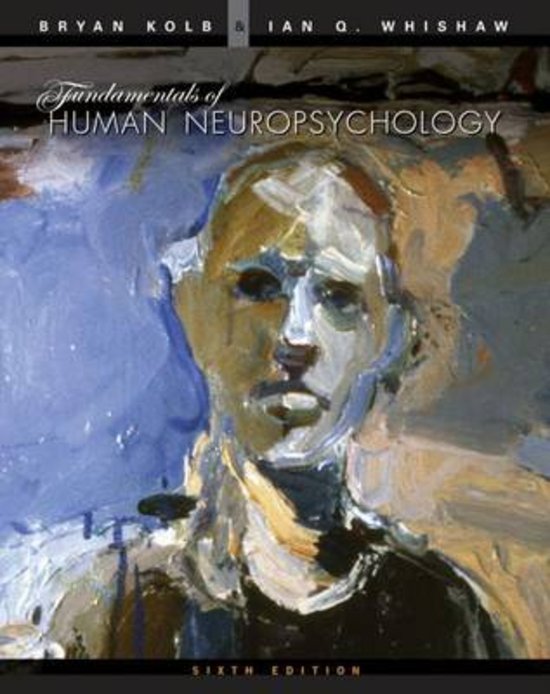 Samenvatting neuropsychologie voor pedagogen 