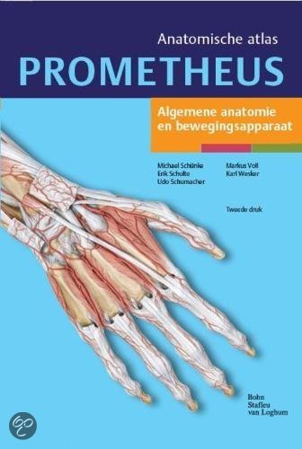 Anatomie flitskaarten onderste extremiteit: botten, ligamenten, spieren, etc.
