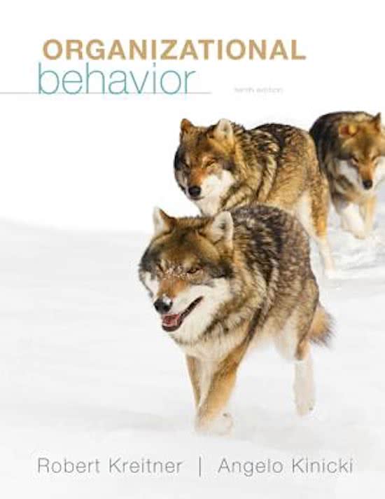 Summary Book &#39;Organizational Behavior&#39; and lectures