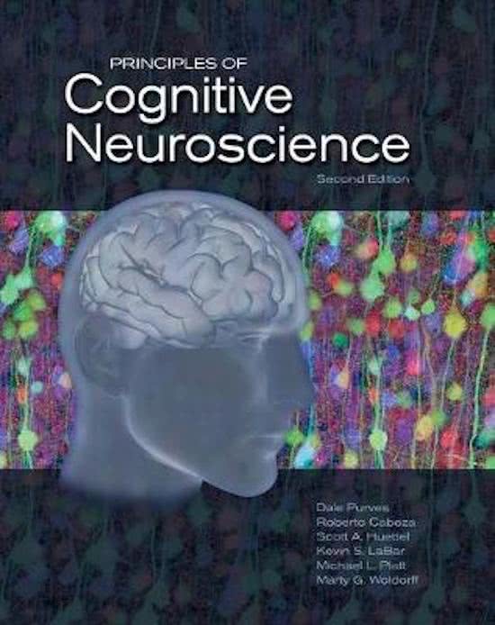 Cognitieve Neurowetenschappen Part 1