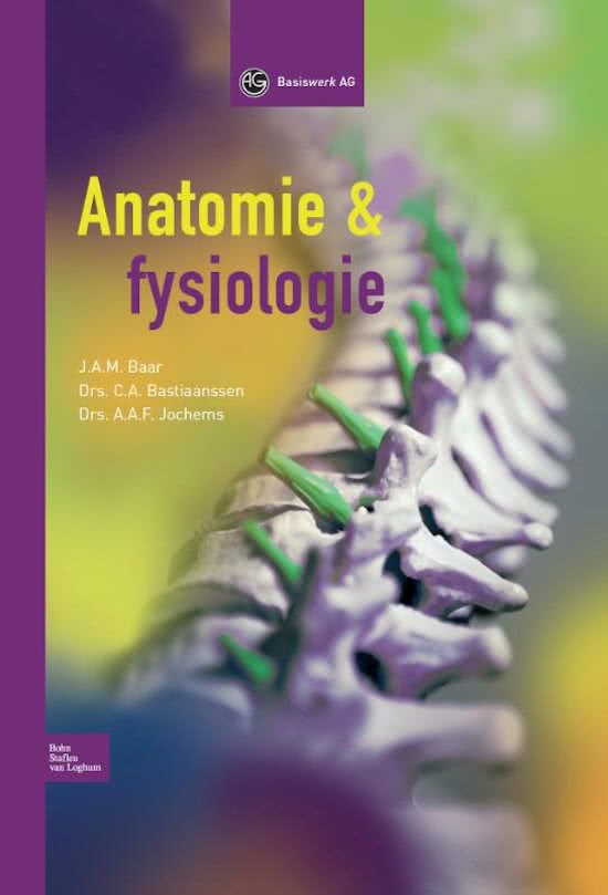 Anatomie & fysiologie: H9 zenuwstelsel