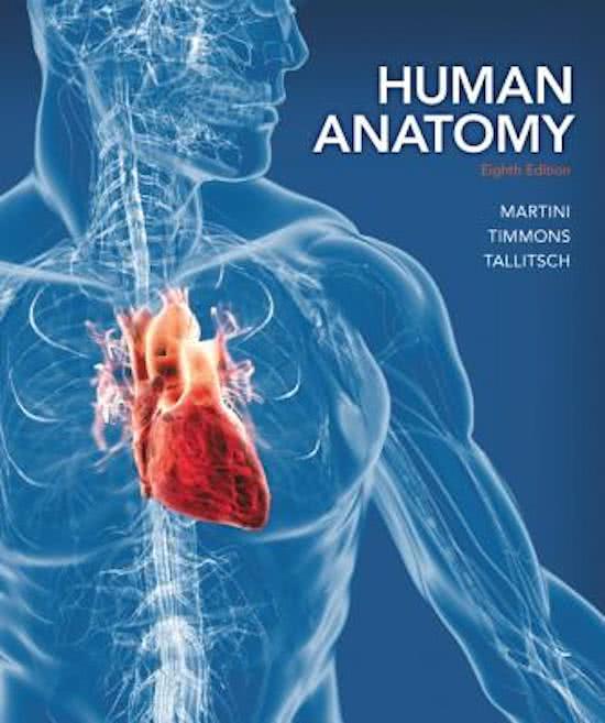 Test Bank for Human Anatomy 8th Edition by Martini 