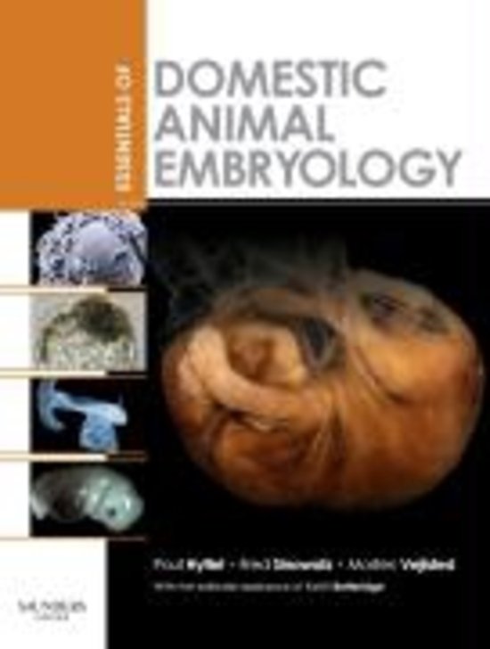 Embryologie: Deel 14 Cardiovasculair Stelsel. Zeer uitgebreide en handgetekende samenvatting Embryologie