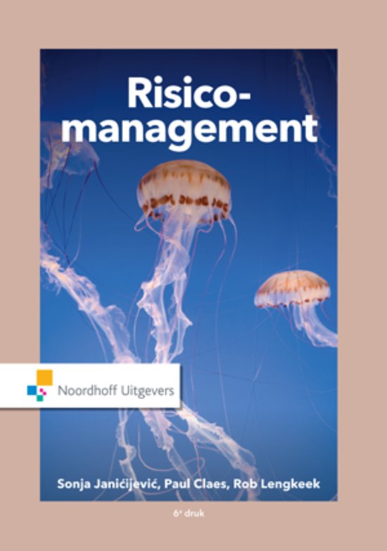 Samenvatting Risicomanagement in de dienstverlening (Uitgebreid)