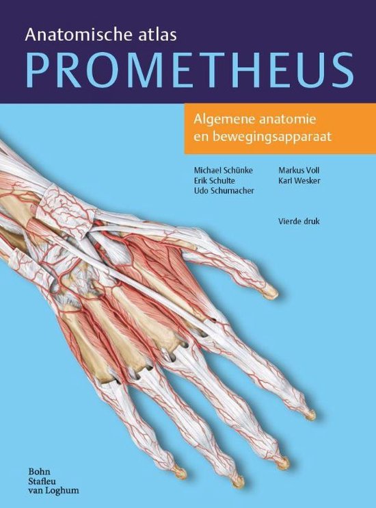 Samenvatting: Anatomie BOKS Levensfasen (blok C/D) Hogeschool Utrecht Fysiotherapie jaar 1